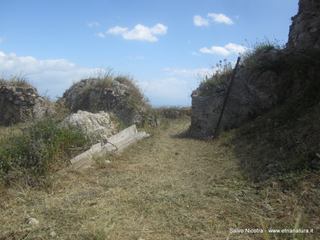 stello di Pentefur-27-04-2016 22-29-01